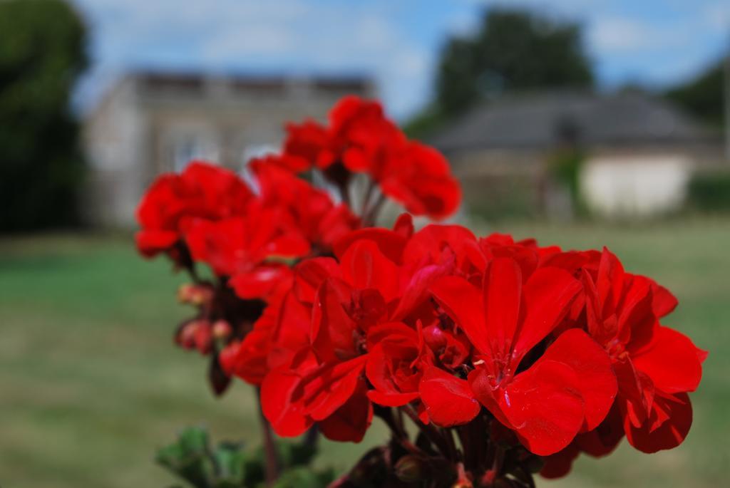 Chateau Des Lutz Daon エクステリア 写真